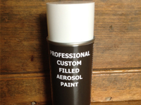 HJuniper Green Spray Touch-Up Paint